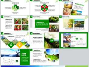 2018年“互聯(lián)網(wǎng)+農(nóng)副產(chǎn)品”市場推廣企業(yè)營銷策劃案